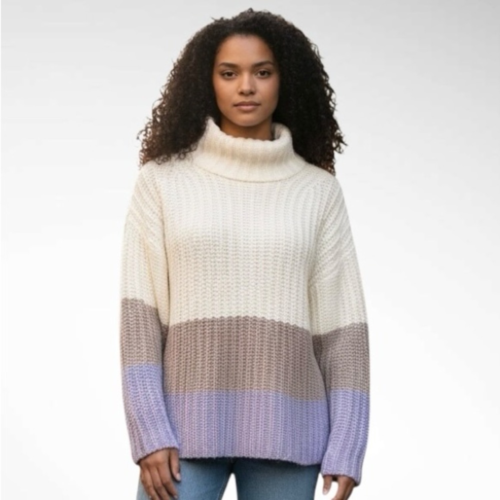 Ann Taylor Colorblock Mockneck Long-Sleeve Sweater